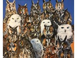 Crowd of Owls