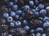 Black and Blue Berries - 2008