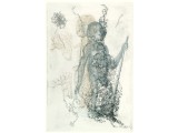 The Wonder of it All intaglio, aquatint, etching, dry point, engraving 22x16in.