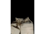In response to Louise Bourgeois
The needle is used to repair damage, its claim to forgiveness